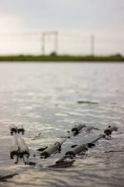 TRAKKER Sanctuary Retention Sling V2 -Trakker trakker sanctuary retention sling v2 3